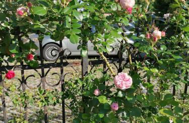 Gästewohnung Schwanenteich - Foto 9