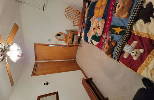 Adirondack Cozy Cottage Hideaway home - Foto 29