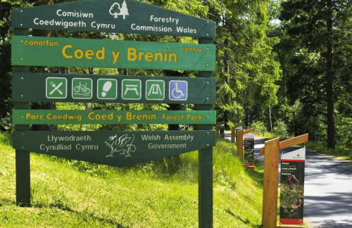 Bryn Araul - Foto 18