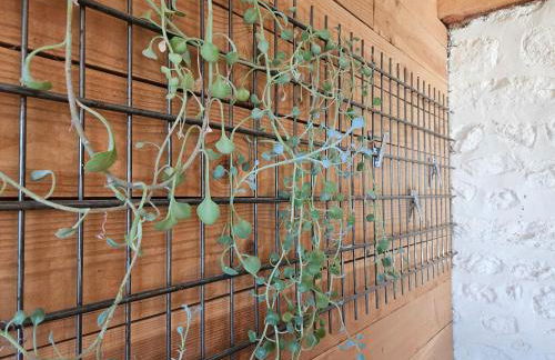 Ferme écologique - Foto 12