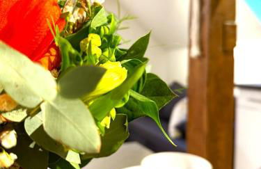 Natur-Apartment am Großen Arber Netflix WIFI - Foto 34