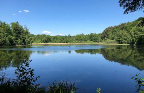 Ferienwohnung Will - Photo 32