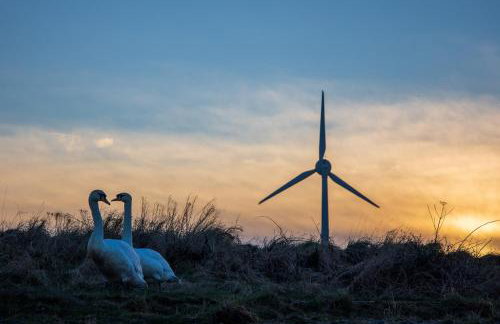 Kelvin House - Foto 27