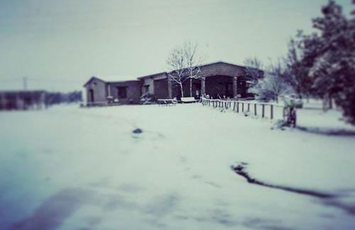 Agriturismo Podernuovo - Foto 22