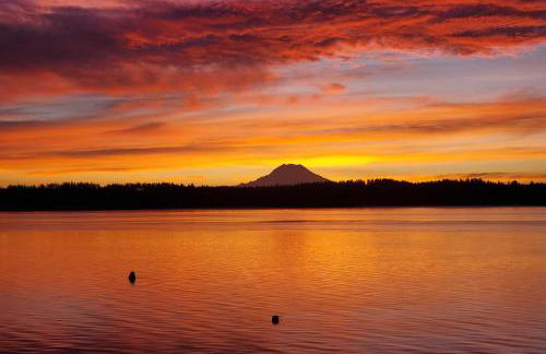 Beachfront Anderson Island Escape Rainier Views! - Foto 34