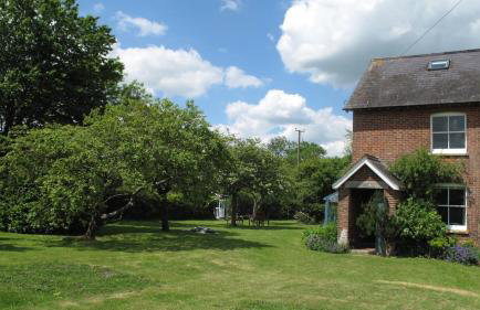 Spacious garden, 3 Bedroom family cottage in Dorset - Foto 13