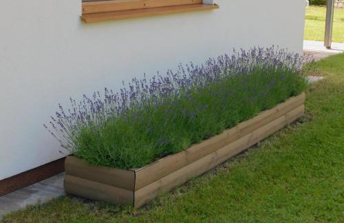 Forest House Sasino-SPA Sauna Balia - Foto 63