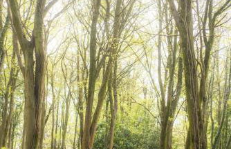 Walker's Rest - Photo 44