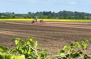 Lilac Cottage - Foto 35