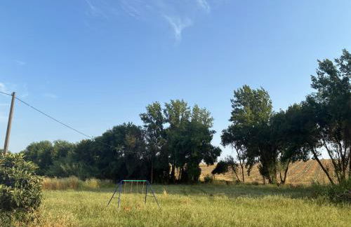 Monte do Vale - Foto 12