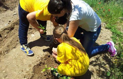 Agriturismo La Palombara - Foto 54