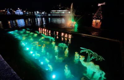 La casa di Alberto lake view - Photo 38