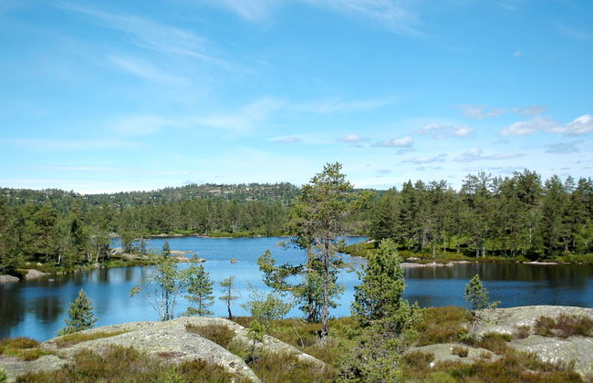 Førevanns Hytta - Foto 20