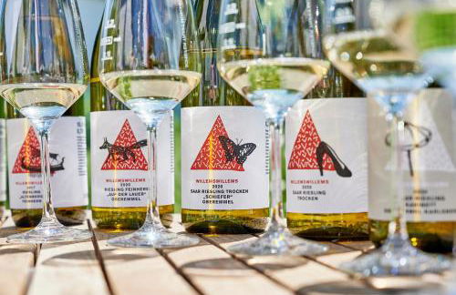 Ferienweingut Willems - Foto 19