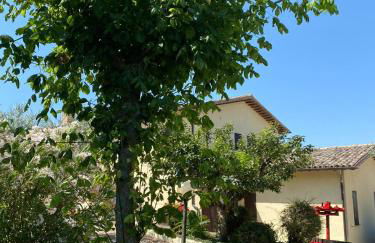 Cardinal Girolamo - Foto 30