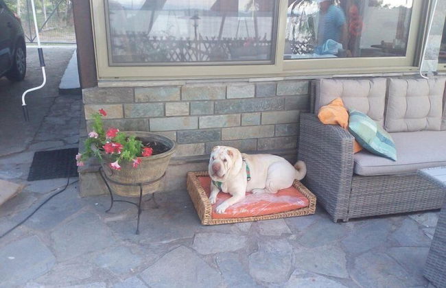 Beachfront house with amazing sea view - Foto 18