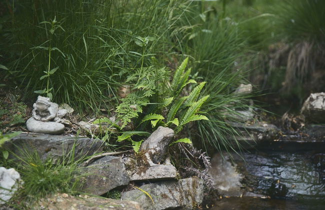 Mushroom Yurt set in 4 Acres of Woodland and Lakes - Foto 21