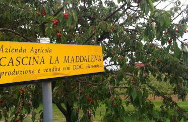 Cascina La Maddalena Bed & Wine - Foto 69