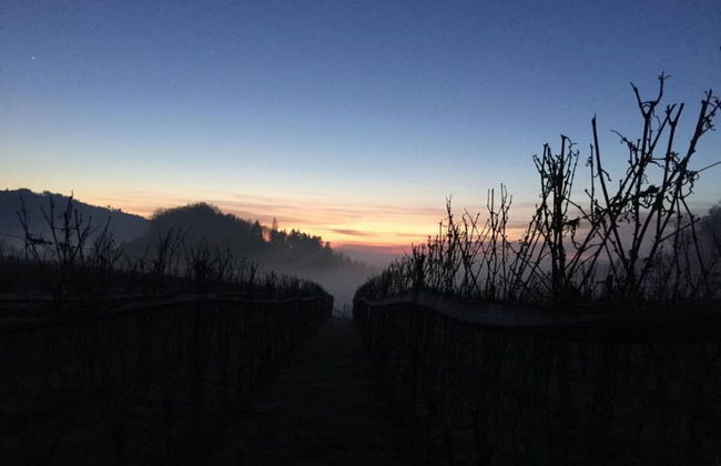 Ferienwohnung im Malerischen Kniebis - Foto 30