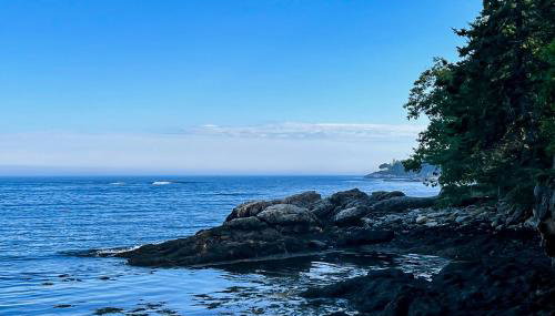 Seguinlandia - Foto 5