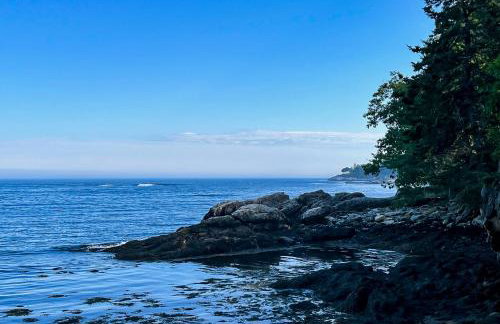 Seguinlandia - Foto 5