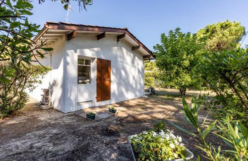 Studio Plage Petit Piquey - Foto 16