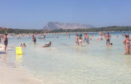 Mediterranean Sea Shell Pool House - Foto 49