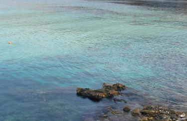 Paradise Can Wait Sophia Suites - Foto 20