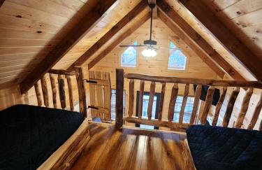 Pet-Friendly Tree Cabin by Tappan Lake with Lofted Space in Ohio - Foto 10