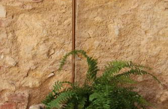 Relais Villa Ambrosetti - Foto 17