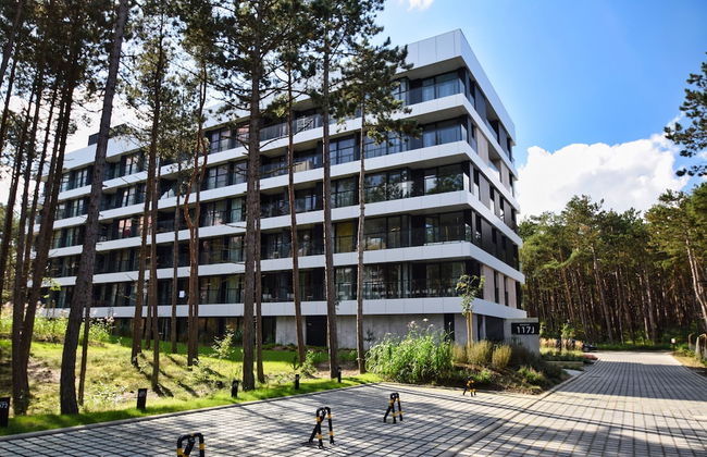 RentPlanet - Shellter - Foto 48