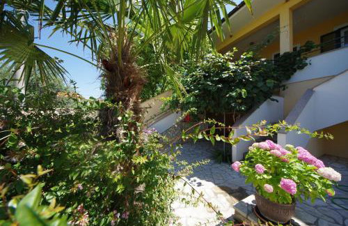 Apartman Marija - Photo 16