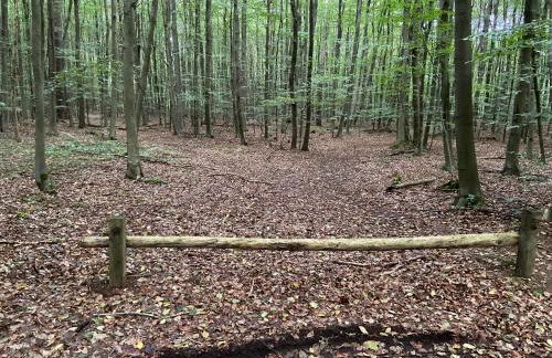 K 357 - Low budget Hotel in Ratekau bei Lübeck - Foto 38