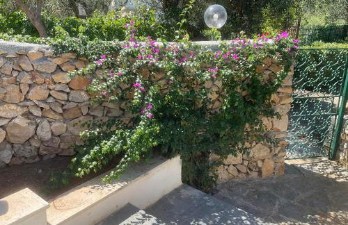 la Casetta di Laura - Foto 31