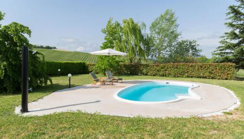 White Tail Organic Farm - Foto 5, Garden