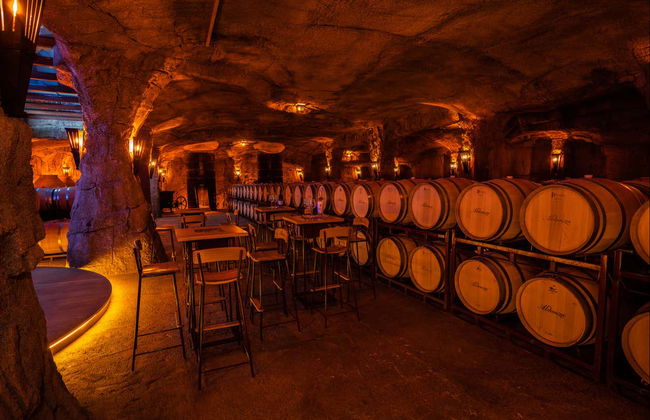 Tour of the Aldonza Gourmet Winery - Foto 3