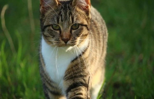 Mountain Getaway in Laroya - Photo 22