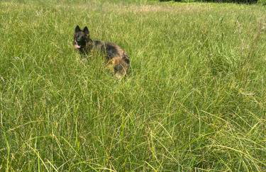 Apartament nad Brdą prywatny darmowy parking - Foto 16