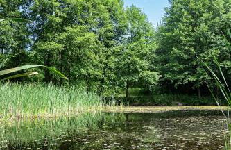 Mandala Źródła Natury SPA - Foto 30