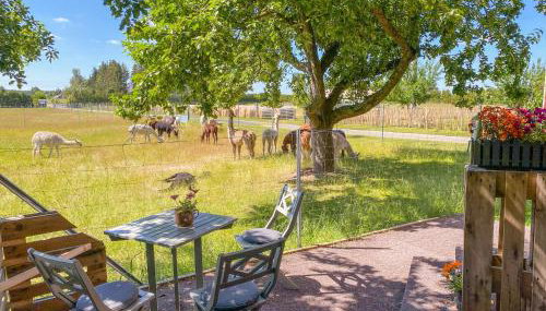 Tiny House auf der Alpaka Farm - Foto 3