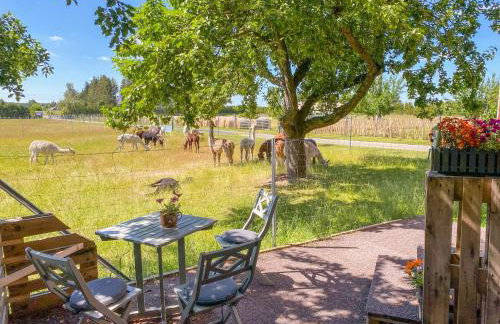 Tiny House auf der Alpaka Farm - Foto 3