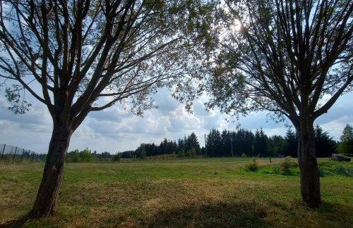 DOM w JESIONACH Brajniki - działka 1 HEKTAR - Photo 29