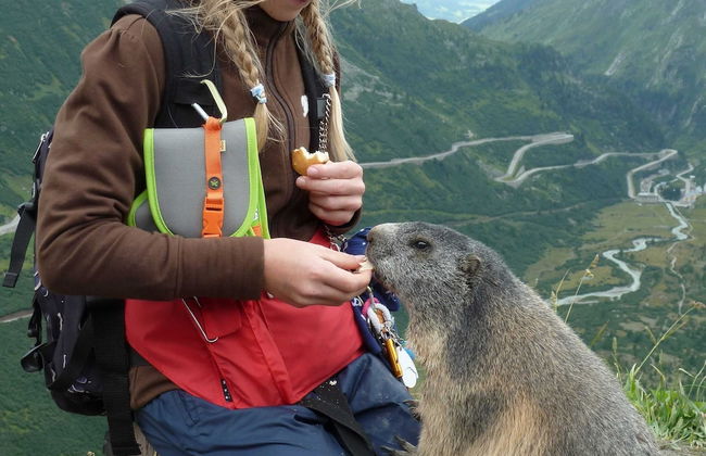 Attractive Chalet in Fiesch-wiler With Views - Foto 18