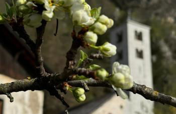 Ferienwohnungen JoJaSa - Foto 77