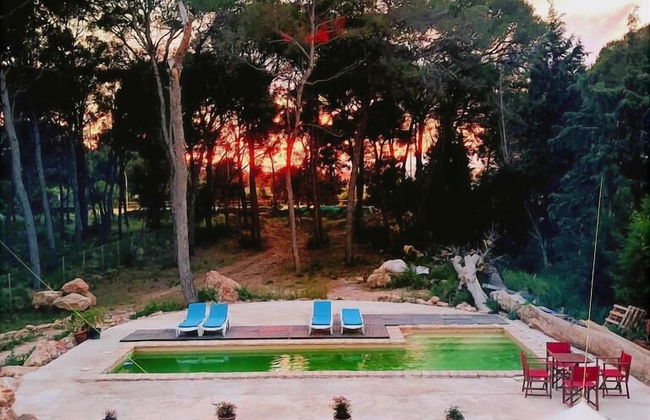 CASTELL GRANADELLA - Foto 35