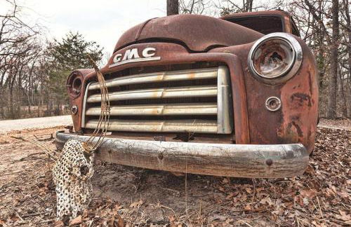 Rustic and Romantic Cabin with Breakfast Included near Royse City, Texas - Foto 8