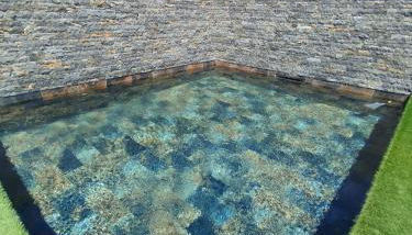 Mas des oliviers Entre Terre Et Mer - Foto 5