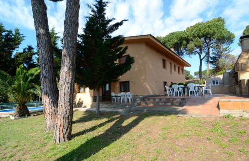 Museu Baixos - Foto 12