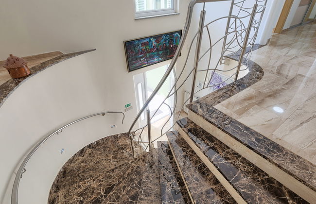 Salamander - Foto 38