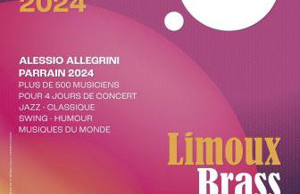 La terrasse des Augustins - Foto 31